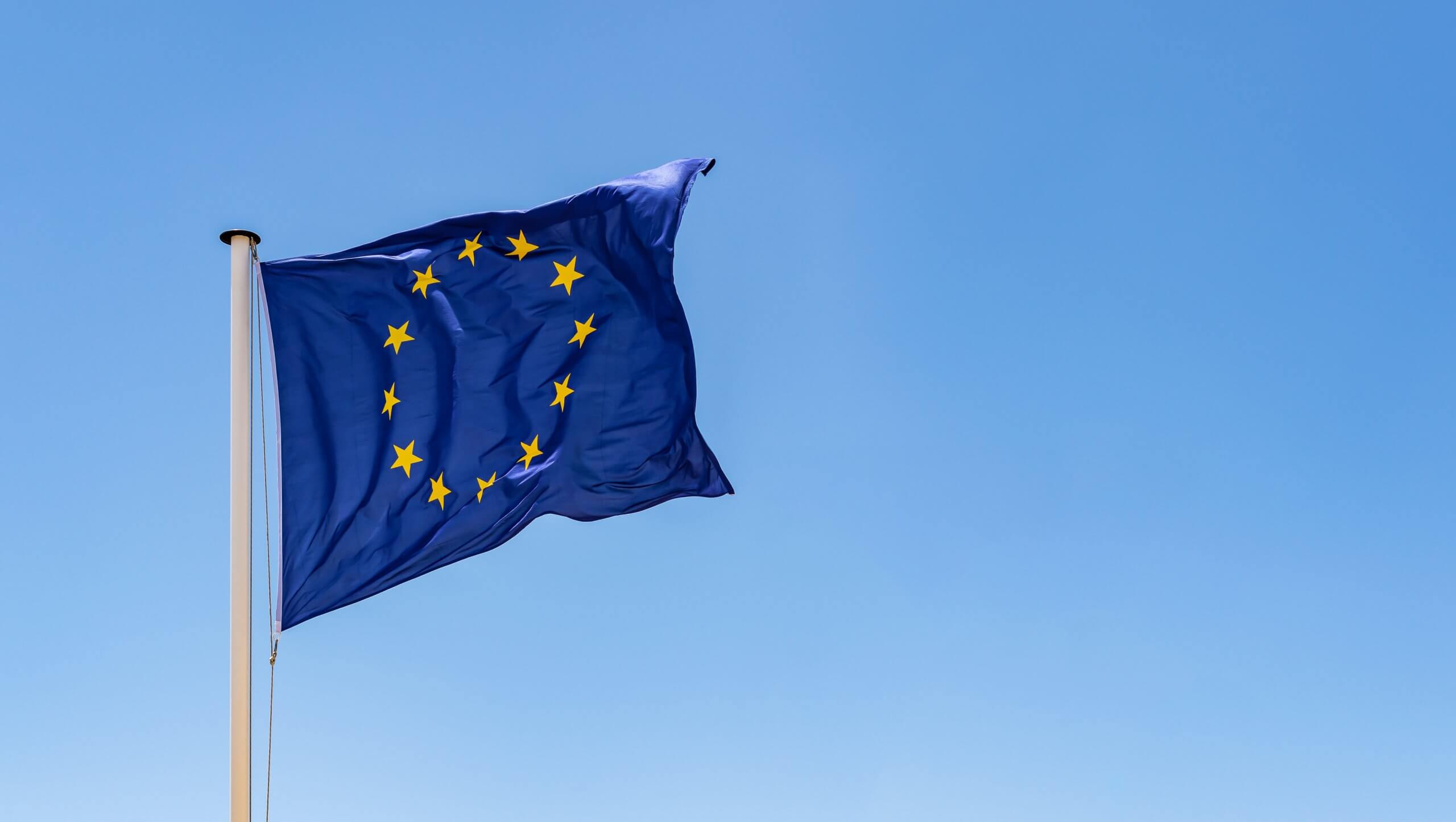 european union's flagg